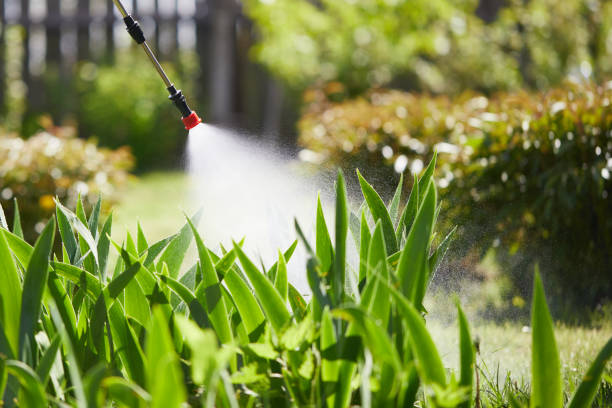 24/7 Emergency Mosquito Control experts in Allouez, WI