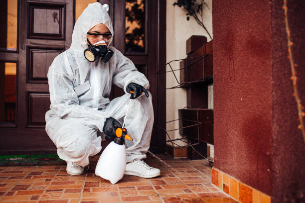 Reliable Mosquito Control contractor in Allouez, WI by Show Me Pest Control
