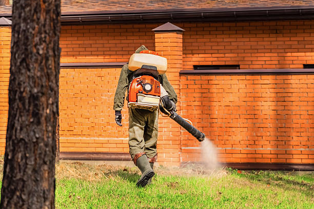 Top rated local Mosquito Control specialists in Allouez, WI